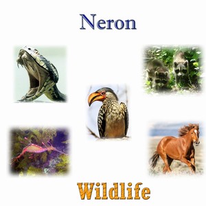 Mustang (feat. James Brennan)