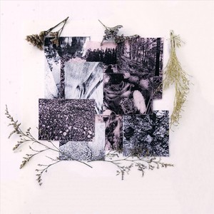 roto (feat. Adrián Terrazas-González)