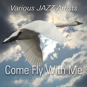 Gonna Fly Now (Instr.)