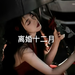离婚十二月