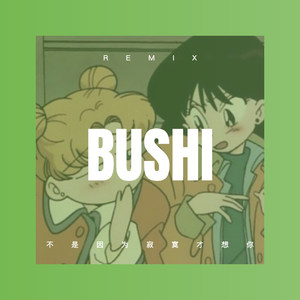 山水唱情歌 (DJ版)