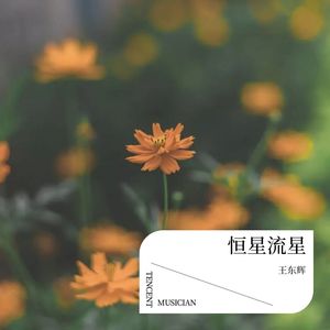 恒星流星 - 王东辉封面