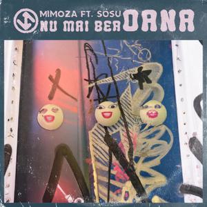 Nu mai bea Oana (feat. Sosu)