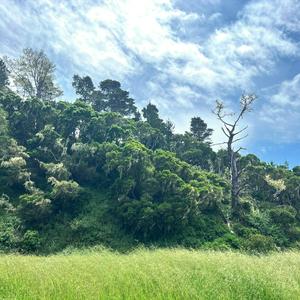 Every Shade of Green