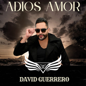 Adiós Amor
