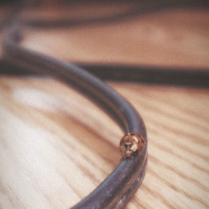 I Kinda Remember You (Explicit)