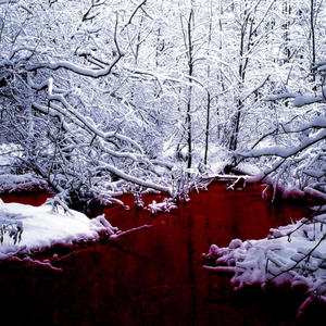 BLOOD ON THE SNOW (Explicit)