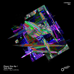 Back to the Future (Ludviq Remix)