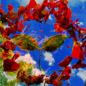 Peace or Love? (Instrumental)