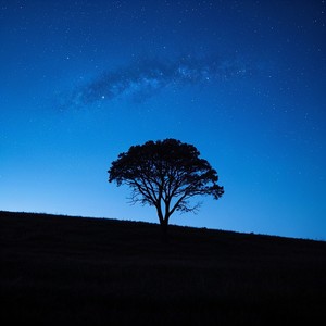 The Night Is Watching