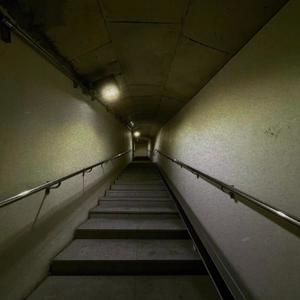 Seven One Seven - Hallucination