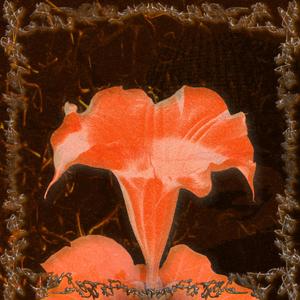 ARRIVEDERCI (Explicit)