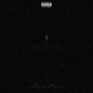 Fake Feelings (Explicit)