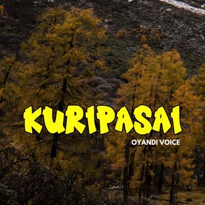 Kuripasai