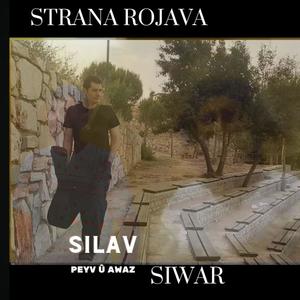 silav