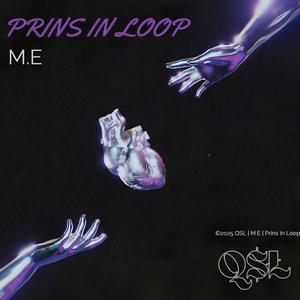 Prins In Loop