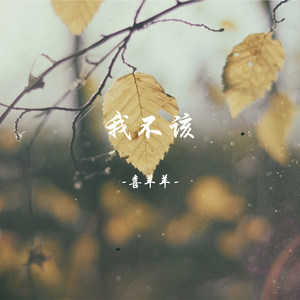 我不该封面