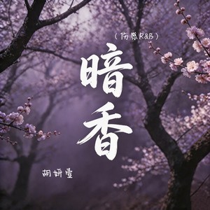暗香 (伤感R&B)封面