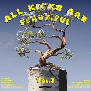 All Kicks Are Beautiful Vol.3 (Explicit)