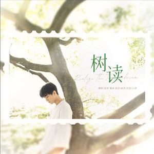 树读