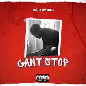 Cant Stop (Explicit)