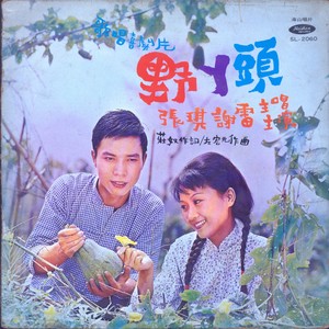 张琪 - 爸妈要我娶