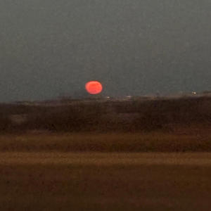 colorblind (feat. stevyy)