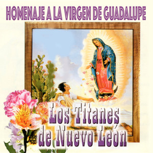 Homenaje A La Virgen De Guadalupe Vol 3