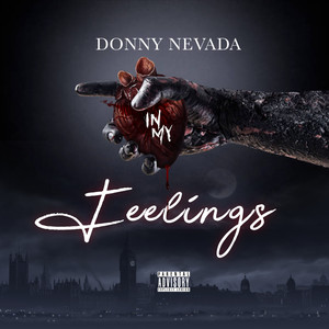 In My Feelings (Explicit)