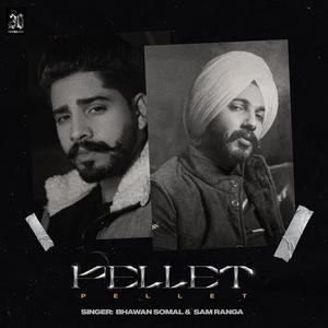 Pellet (feat. Bhawan Somal) (Explicit)