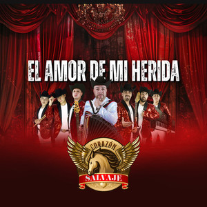 EL AMOR DE MI HERIDA