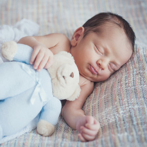 Canzoni Per Bambini Ninna Nanna - Donkey, Donkey I Beg You'