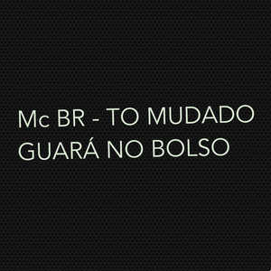 To Mudado - Guará no Bolso (Explicit)