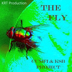 THE FLY