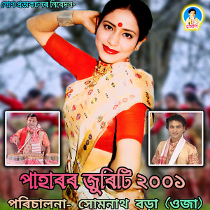 Kinu Hol Deshore Goti