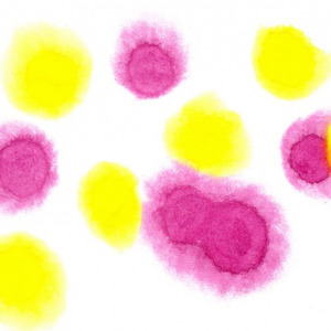 霜雪千年 (Feat.Oyim)