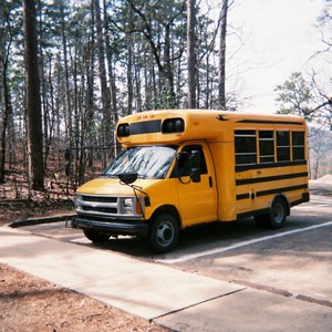 Bull - Perfect Teeth