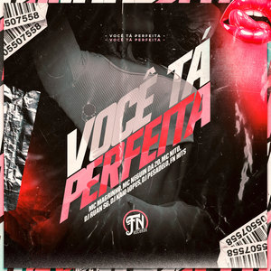 Você Tá Perfeita (Explicit)