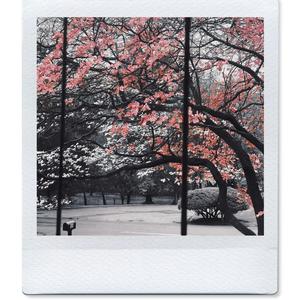 Locked in (feat. bizee) (Explicit)