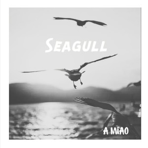 Seagull