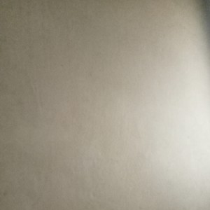 Bersemi kembali bungaku