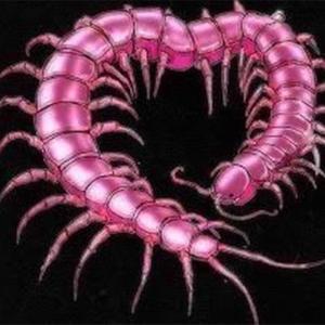 I've been aaaaaaaaaaa (Explicit)