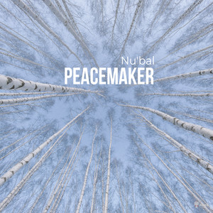 Peacemaker