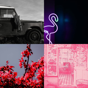 令人兴奋学习周围环境