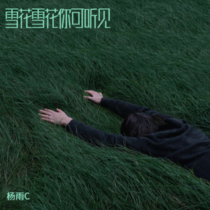 雪花雪花你可听见 (DJ版)