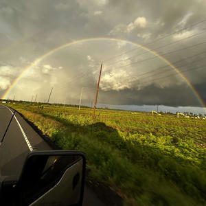 On My Own (feat. Prod. Peril)