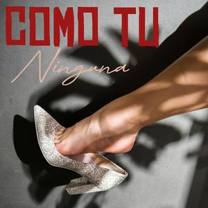 COMO TU NINGUNA (feat. Fujitivo The Yomimo & El Dan)