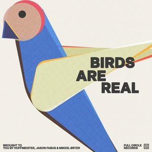 Birds Are Real