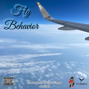 Fly Behavior (Explicit)