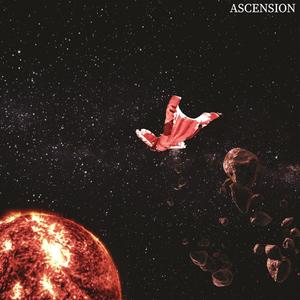 solidarity (Explicit)